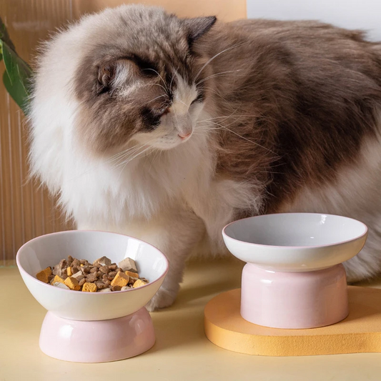 Tilt&Taste – Ciotola ergonomica inclinata anti-vomito in ceramica per gatti