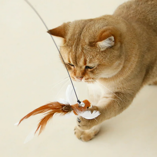 Crazy Bird - Uccellino giocattolo per gatti interattivo