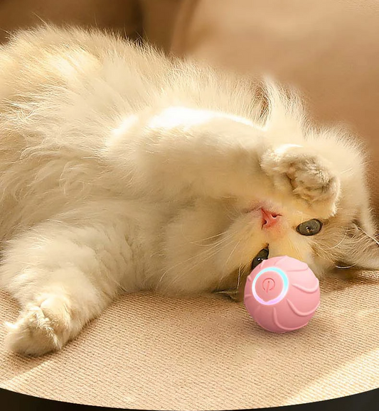 Rolly Polly - Pallina giocattolo per gatti interattivi e automatica